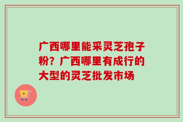 广西哪里能采灵芝孢子粉？广西哪里有成行的大型的灵芝批发市场