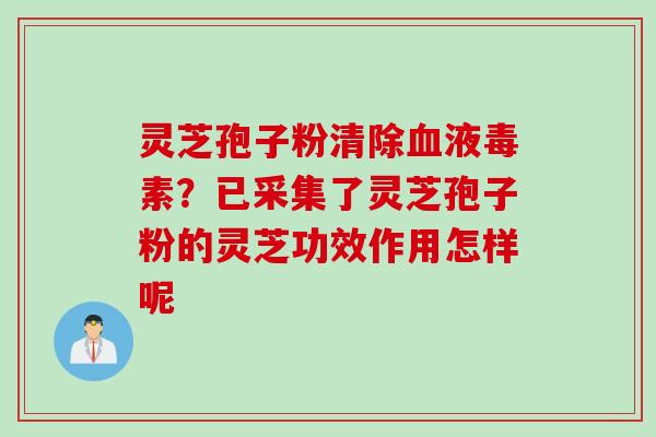 灵芝孢子粉清除血液毒素？已采集了灵芝孢子粉的灵芝功效作用怎样呢