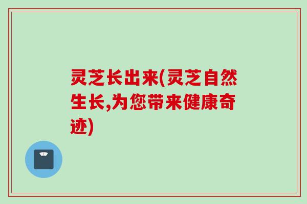 灵芝长出来(灵芝自然生长,为您带来健康奇迹)