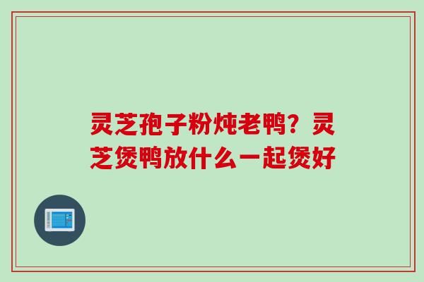 灵芝孢子粉炖老鸭？灵芝煲鸭放什么一起煲好
