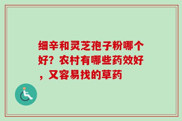 细辛和灵芝孢子粉哪个好？农村有哪些药效好，又容易找的草药