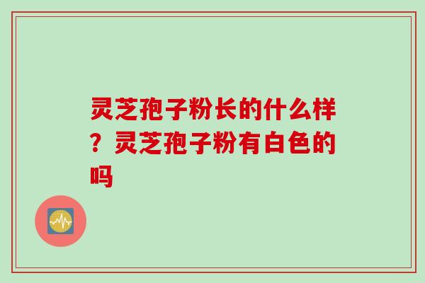 灵芝孢子粉长的什么样？灵芝孢子粉有白色的吗