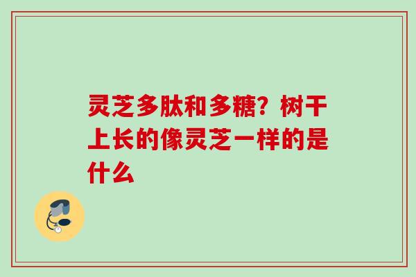 灵芝多肽和多糖？树干上长的像灵芝一样的是什么