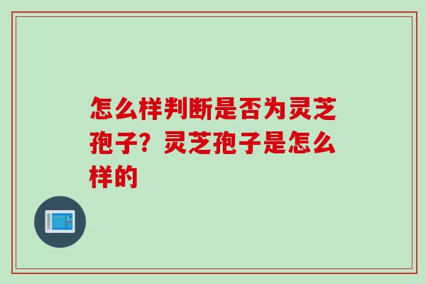 怎么样判断是否为灵芝孢子?灵芝孢子是怎么样的 怎么样判断是否为灵芝孢子?灵芝孢子是怎么样的