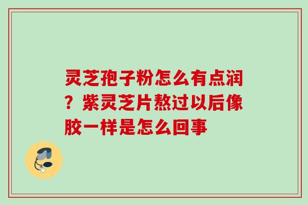 灵芝孢子粉怎么有点润？紫灵芝片熬过以后像胶一样是怎么回事