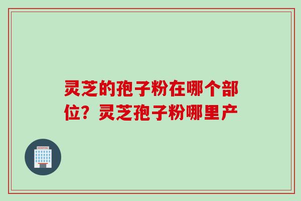 灵芝的孢子粉在哪个部位？灵芝孢子粉哪里产