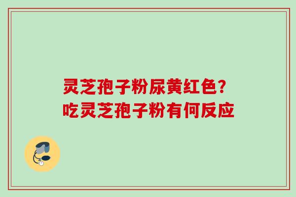 灵芝孢子粉尿黄红色？吃灵芝孢子粉有何反应