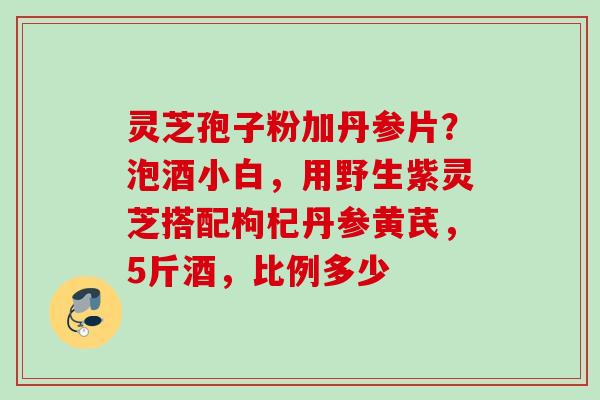 灵芝孢子粉加丹参片？泡酒小白，用野生紫灵芝搭配枸杞丹参黄芪，5斤酒，比例多少