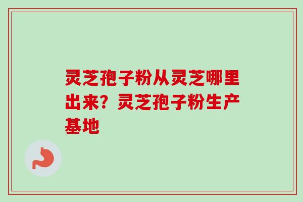 灵芝孢子粉从灵芝哪里出来？灵芝孢子粉生产基地
