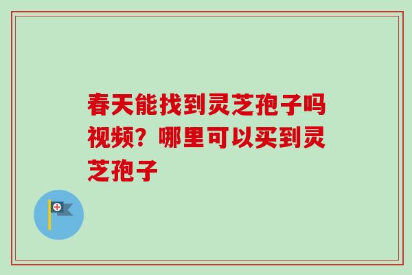 春天能找到灵芝孢子吗视频?哪里可以买到灵芝孢子 春天能找到灵芝孢子吗视频?哪里可以买到灵芝孢子