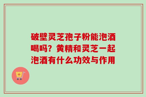 破壁灵芝孢子粉能泡酒喝吗？黄精和灵芝一起泡酒有什么功效与作用