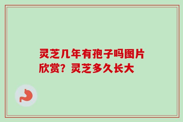 灵芝几年有孢子吗图片欣赏？灵芝多久长大