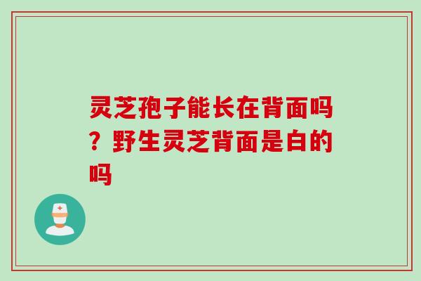 灵芝孢子能长在背面吗?野生灵芝背面是白的吗 灵芝孢子能长在背面吗?野生灵芝背面是白的吗