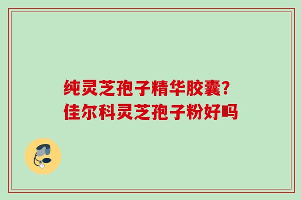 纯灵芝孢子精华胶囊？佳尔科灵芝孢子粉好吗