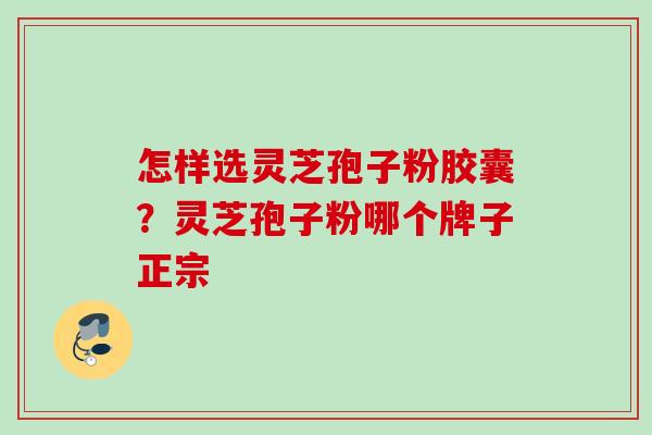 怎样选灵芝孢子粉胶囊？灵芝孢子粉哪个牌子正宗