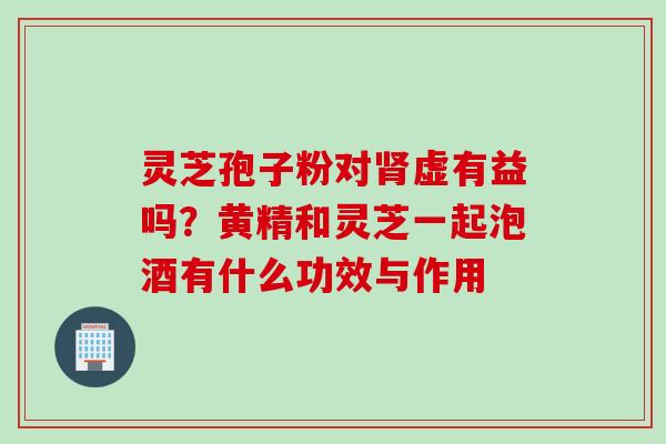 灵芝孢子粉对肾虚有益吗？黄精和灵芝一起泡酒有什么功效与作用