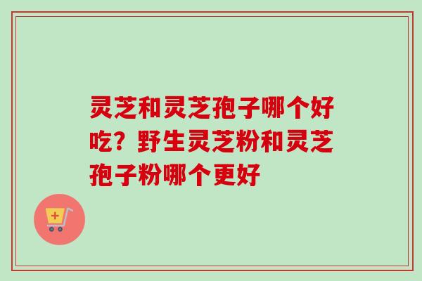 灵芝和灵芝孢子哪个好吃?野生灵芝粉和灵芝孢子粉哪个更好 灵芝和灵芝孢子哪个好吃?野生灵芝粉和灵芝孢子粉哪个更好