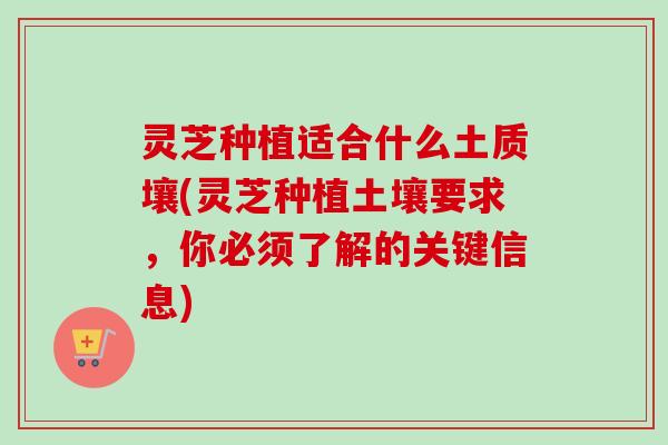 灵芝种植适合什么土质壤(灵芝种植土壤要求，你必须了解的关键信息)