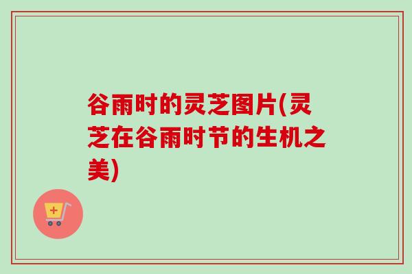 谷雨时的灵芝图片(灵芝在谷雨时节的生机之美)
