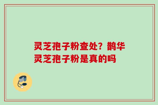 灵芝孢子粉查处？鹊华灵芝孢子粉是真的吗