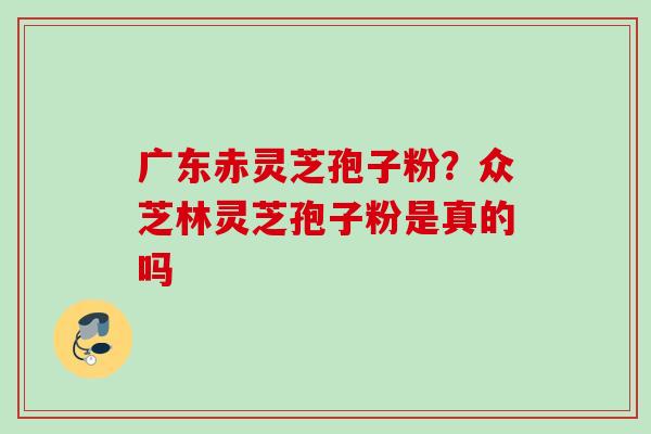广东赤灵芝孢子粉？众芝林灵芝孢子粉是真的吗