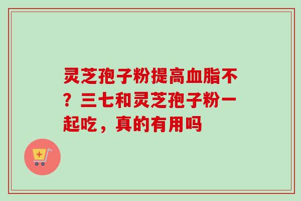 灵芝孢子粉提高血脂不？三七和灵芝孢子粉一起吃，真的有用吗