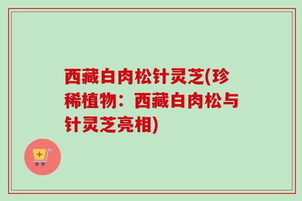 西藏白肉松针灵芝(珍稀植物：西藏白肉松与针灵芝亮相)