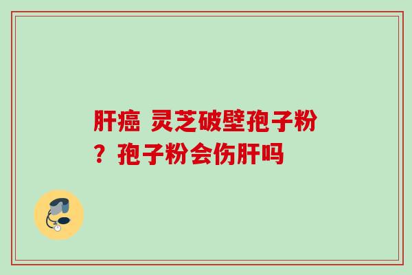 肝癌 灵芝破壁孢子粉？孢子粉会伤肝吗