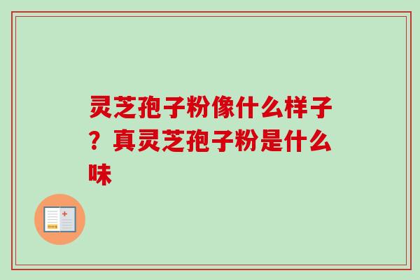 灵芝孢子粉像什么样子？真灵芝孢子粉是什么味