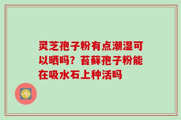 灵芝孢子粉有点潮湿可以晒吗？苔藓孢子粉能在吸水石上种活吗