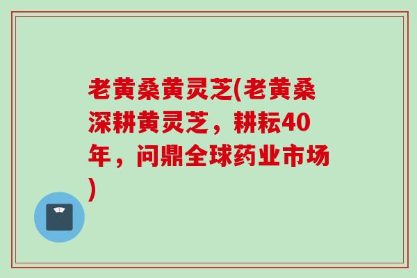 老黄桑黄灵芝(老黄桑深耕黄灵芝，耕耘40年，问鼎全球药业市场)
