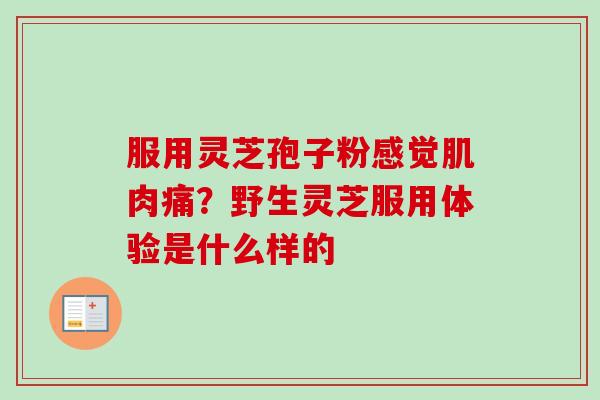 服用灵芝孢子粉感觉肌肉痛？野生灵芝服用体验是什么样的