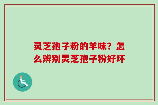 灵芝孢子粉的羊味？怎么辨别灵芝孢子粉好坏