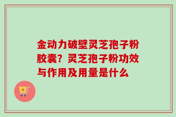 金动力破壁灵芝孢子粉胶囊？灵芝孢子粉功效与作用及用量是什么
