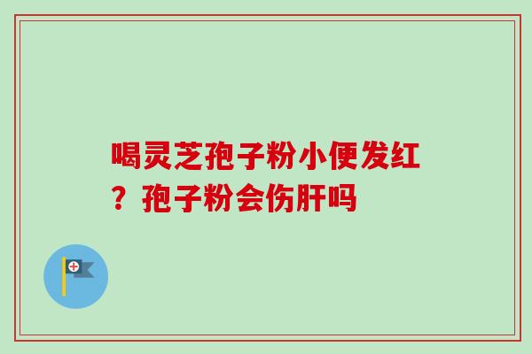 喝灵芝孢子粉小便发红？孢子粉会伤肝吗