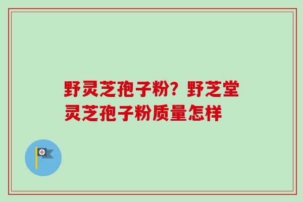 野灵芝孢子粉？野芝堂灵芝孢子粉质量怎样
