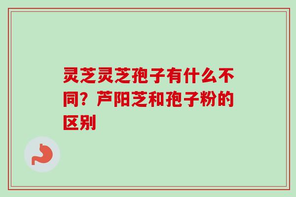 灵芝灵芝孢子有什么不同？芦阳芝和孢子粉的区别