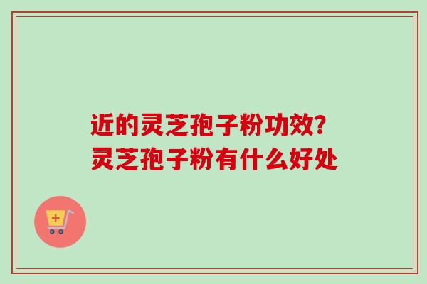 近的灵芝孢子粉功效？灵芝孢子粉有什么好处