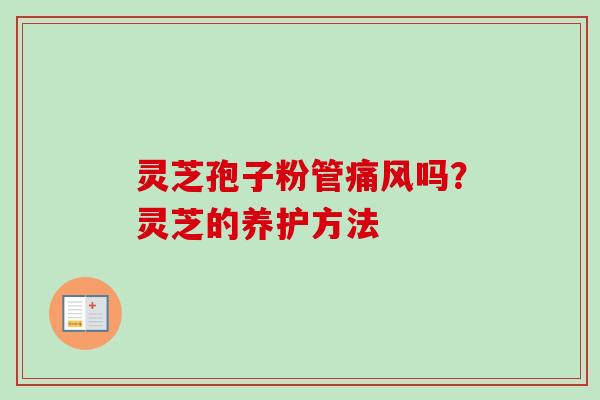 灵芝孢子粉管痛风吗？灵芝的养护方法
