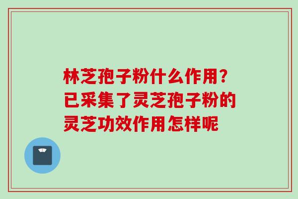 林芝孢子粉什么作用？已采集了灵芝孢子粉的灵芝功效作用怎样呢