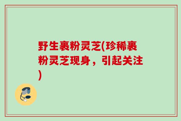 野生裹粉灵芝(珍稀裹粉灵芝现身，引起关注)