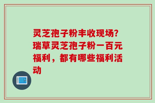 灵芝孢子粉丰收现场？瑞草灵芝孢子粉一百元福利，都有哪些福利活动