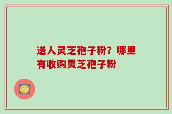 送人灵芝孢子粉？哪里有收购灵芝孢子粉