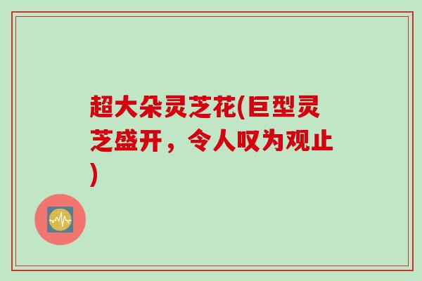 超大朵灵芝花(巨型灵芝盛开,令人叹为观止) 超大朵灵芝花(巨型灵芝盛开,令人叹为观止)