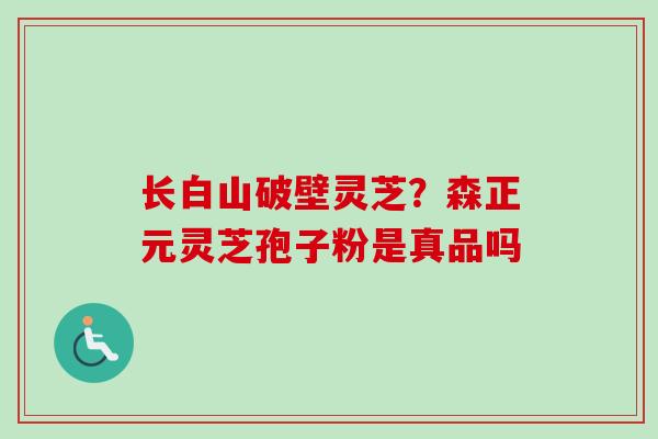 长白山破壁灵芝？森正元灵芝孢子粉是真品吗