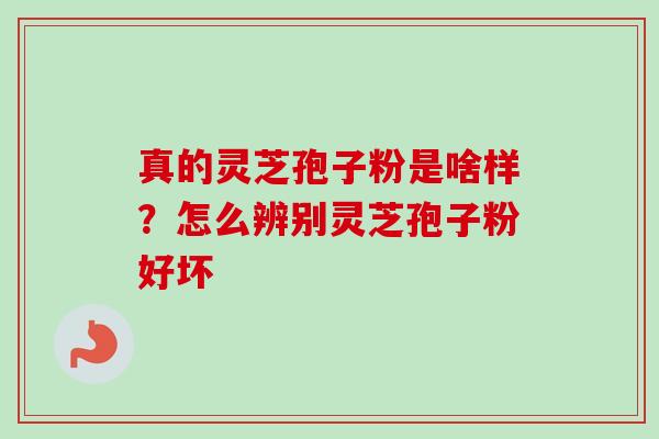 真的灵芝孢子粉是啥样？怎么辨别灵芝孢子粉好坏