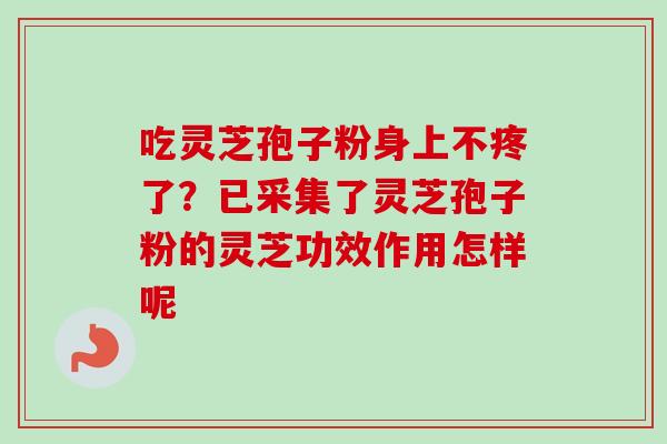 吃灵芝孢子粉身上不疼了？已采集了灵芝孢子粉的灵芝功效作用怎样呢