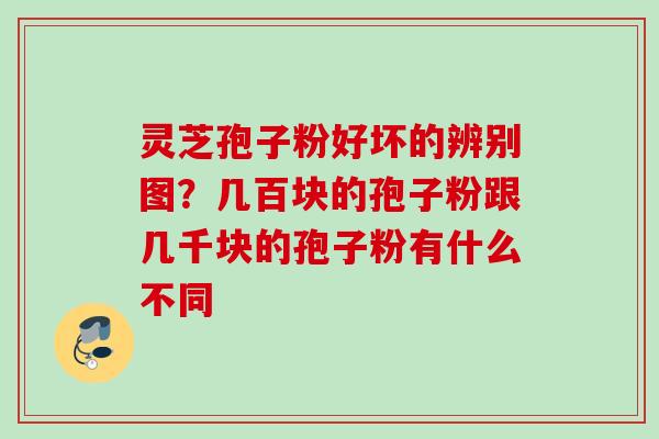 灵芝孢子粉好坏的辨别图?几百块的孢子粉跟几千块的孢子粉有什么不同 灵芝孢子粉好坏的辨别图?几百块的孢子粉跟几千块的孢子粉有什么不同