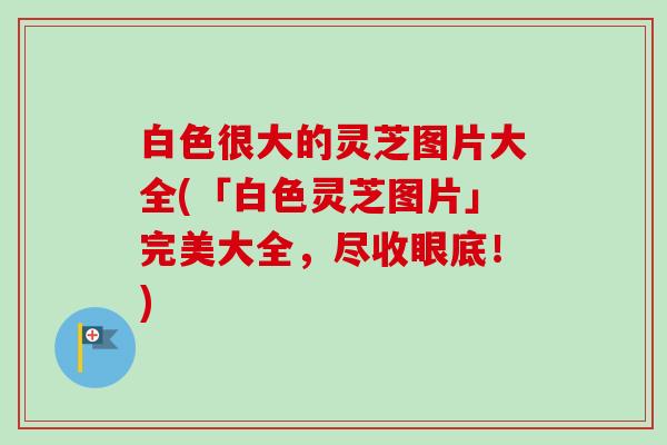 白色很大的灵芝图片大全(「白色灵芝图片」完美大全，尽收眼底！)