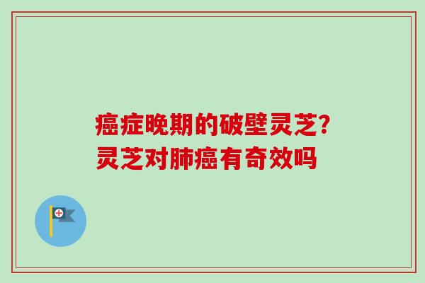 癌症晚期的破壁灵芝？灵芝对肺癌有奇效吗